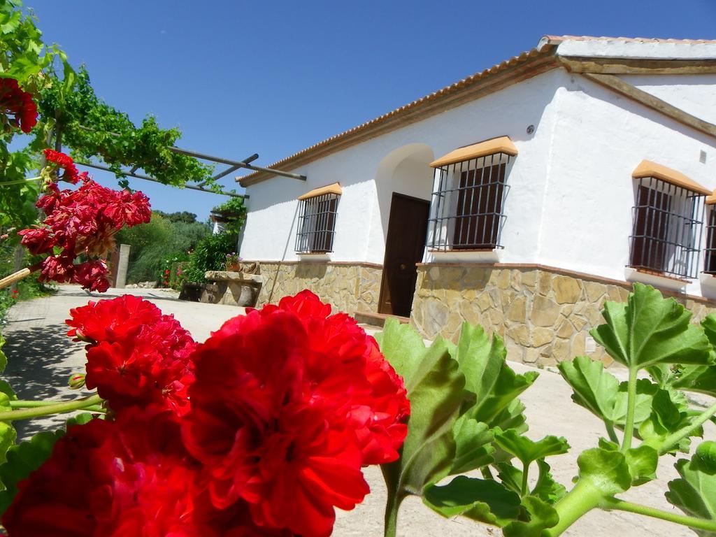 Casa Rural La Parada La Joya Exteriér fotografie